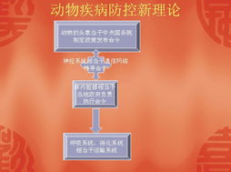 藥殘零境界，健康百分百——解析藍天酵素菌的科技力量